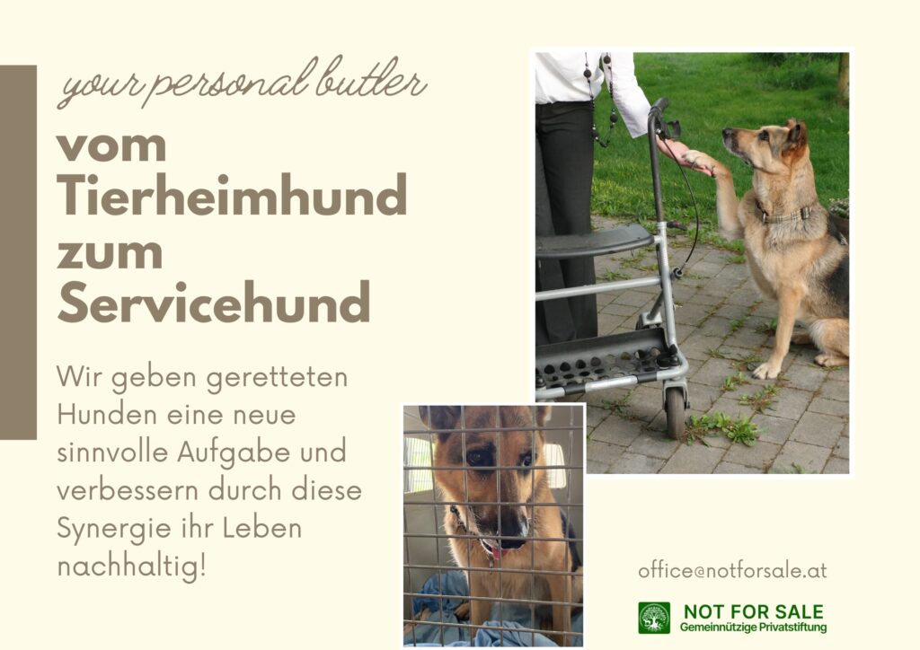 Plakat mit Hund hinter Gitter und danach als Servicehund augebildet