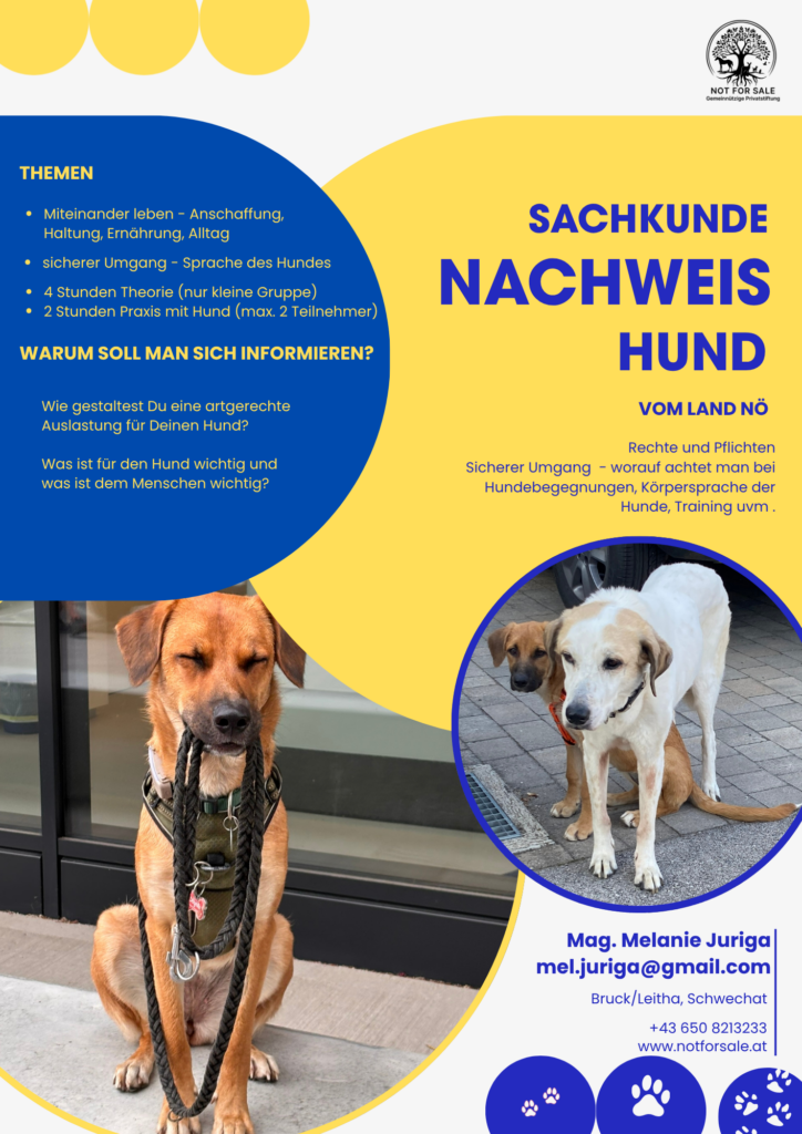 Sachkundenachweis Hunde NOE