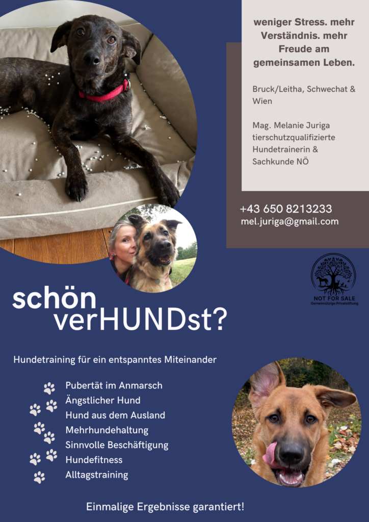 schon verhundst