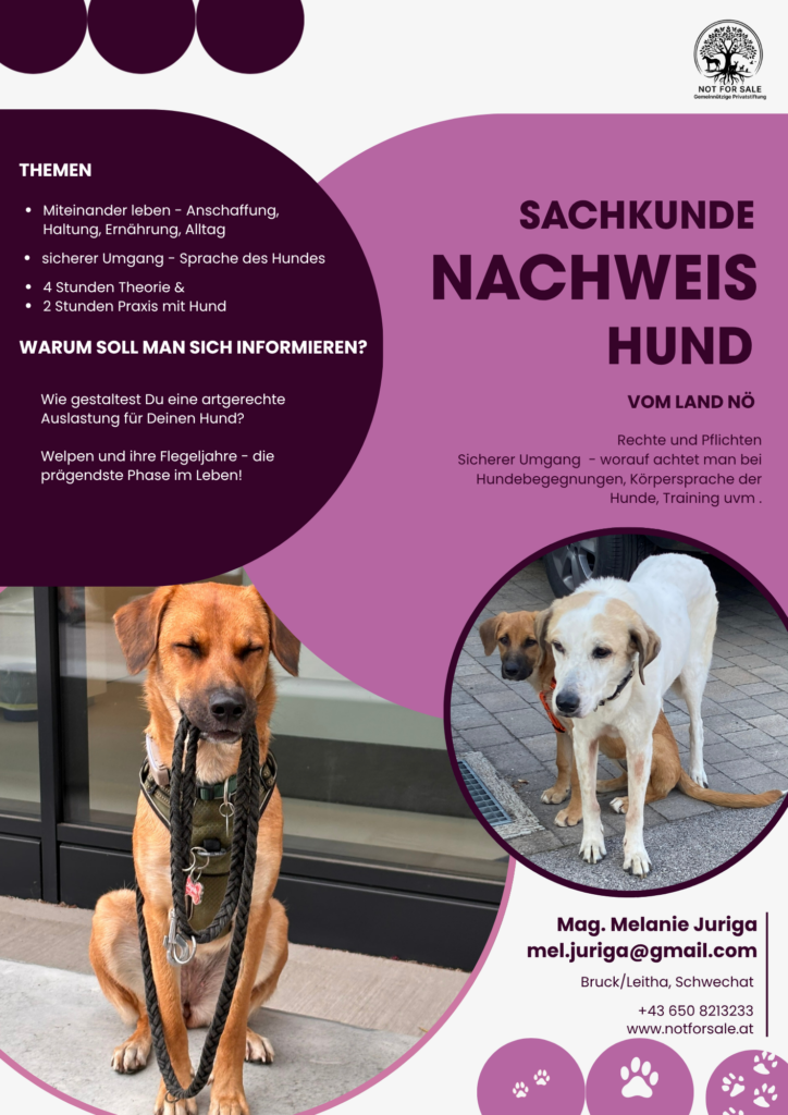 Sachkundenachweis Hund NOE