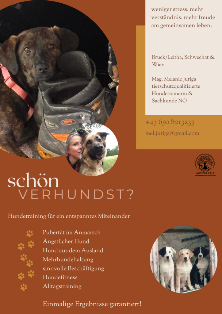 Hundetraining, weniger gestresste Hunde durch sinnvolle Beschaeftigung
